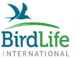 BirdLife International logo